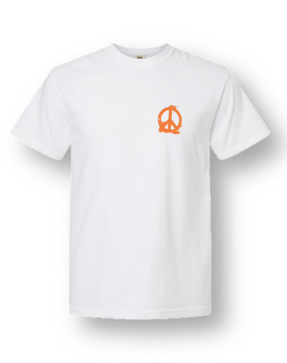 "Disturbing the Peace"
